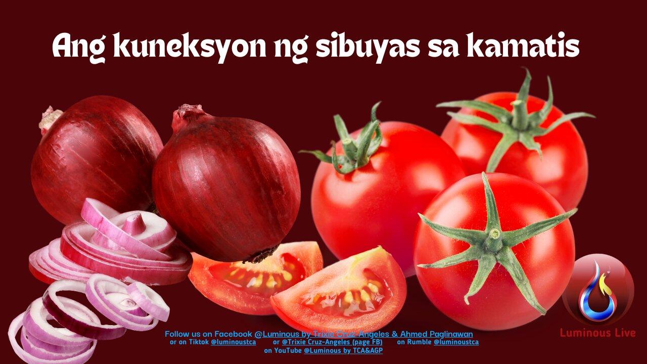 Ang kuneksyon ng sibuyas sa kamatis