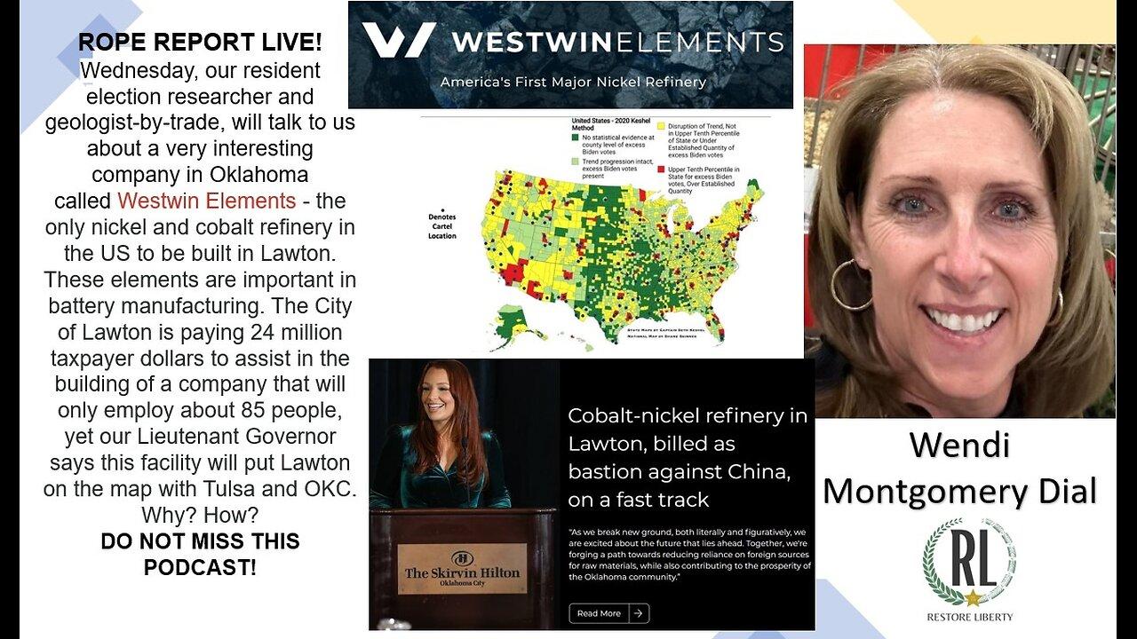 What Do Rare Earth Metals, Elections And Cartels Have In Common? Wendi Dial; ROPE Report Live