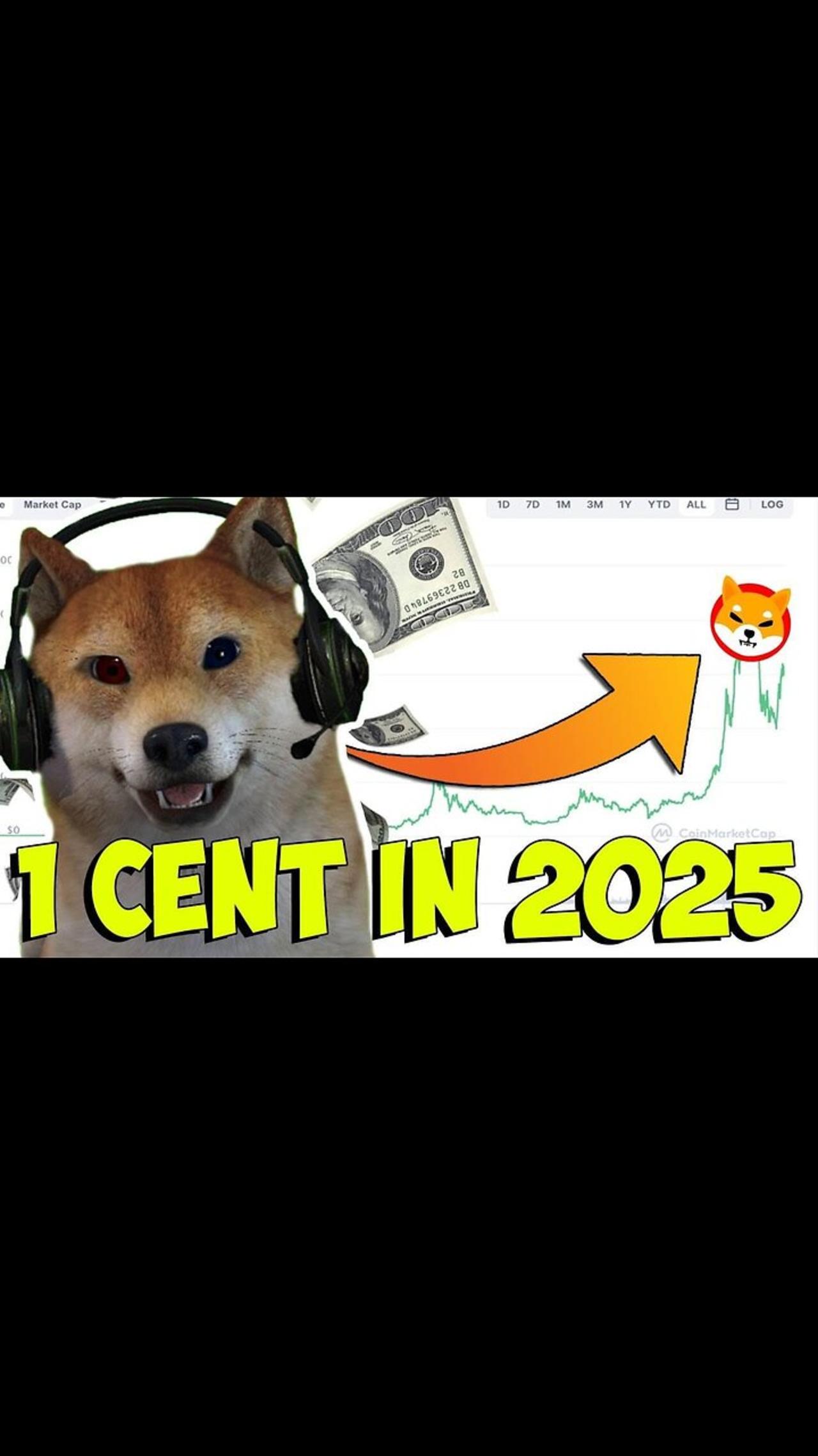 shiba inu crashing. WHEN AM I BUYING? MUST WATCH SHIBAINU VIDEO