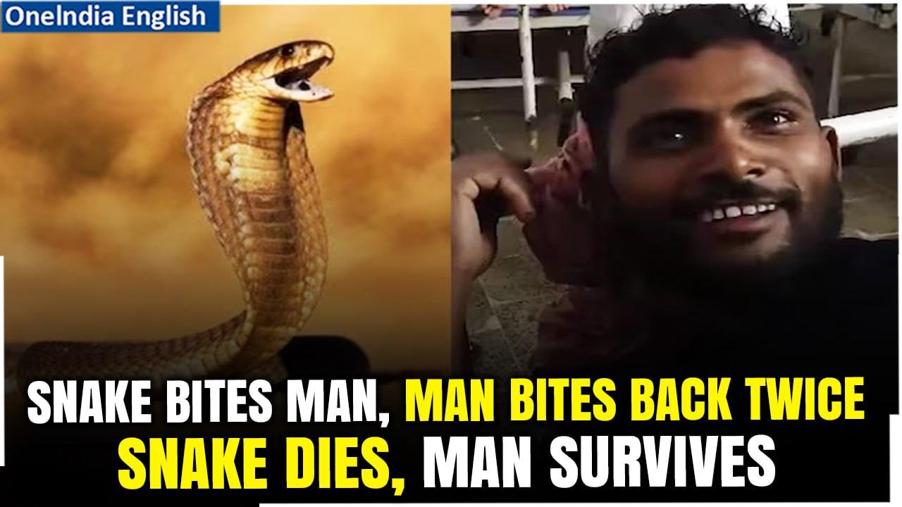 Man Bites Snake: Unique Incident in Bihar, India Leaves International Media Stunned | Oneindia News