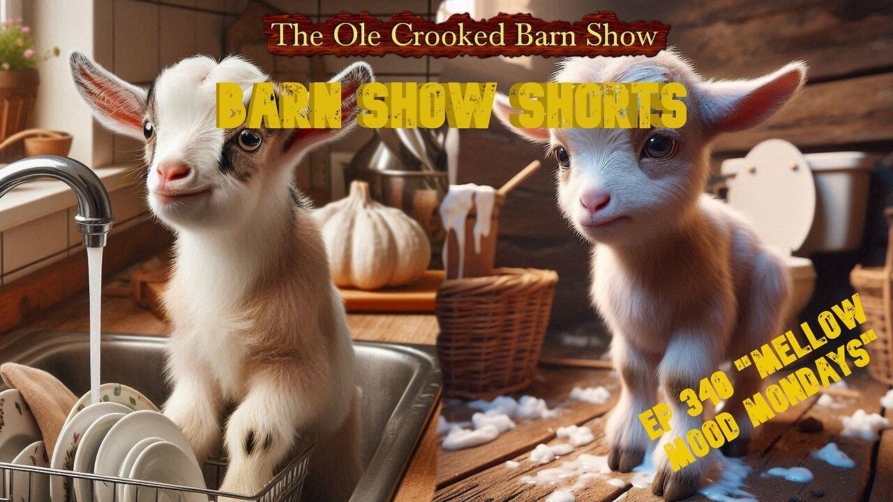 “Barn Show Shorts” Ep. #340 “Mellow Mood Mondays”