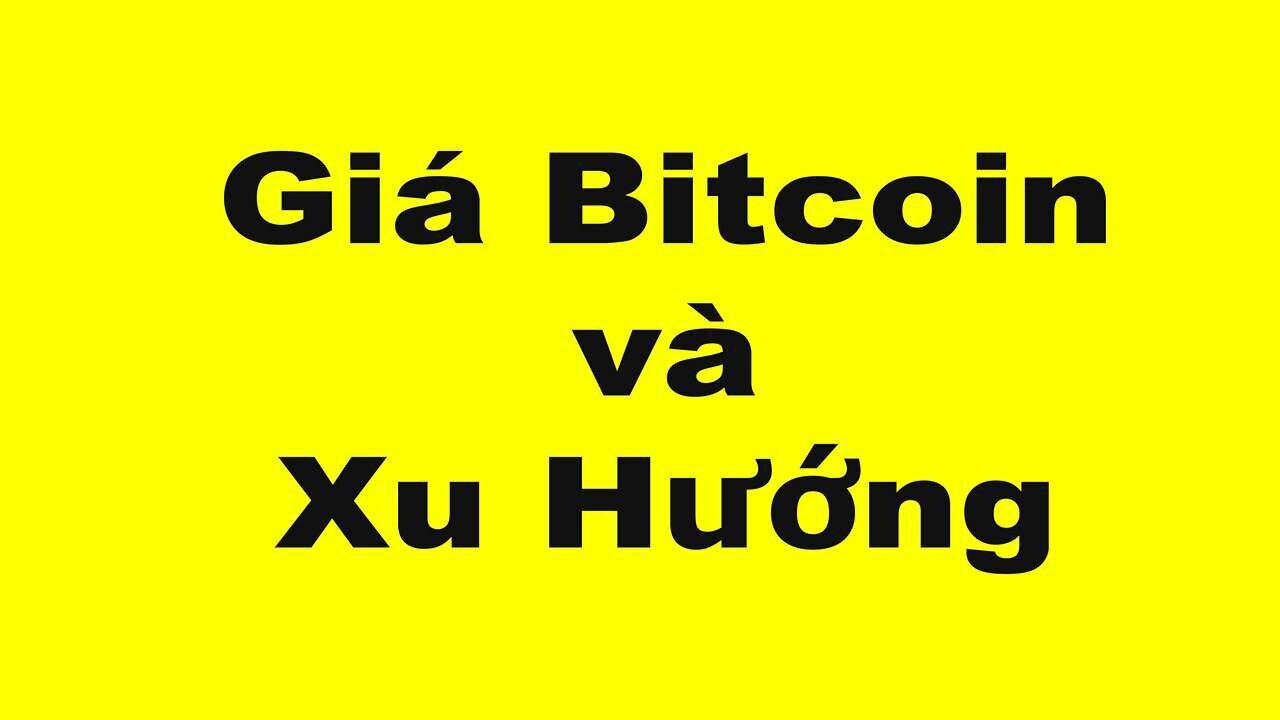 Giá Bitcoin và Xu hướng sắp tới ngày 8 tháng 7 năm 2024