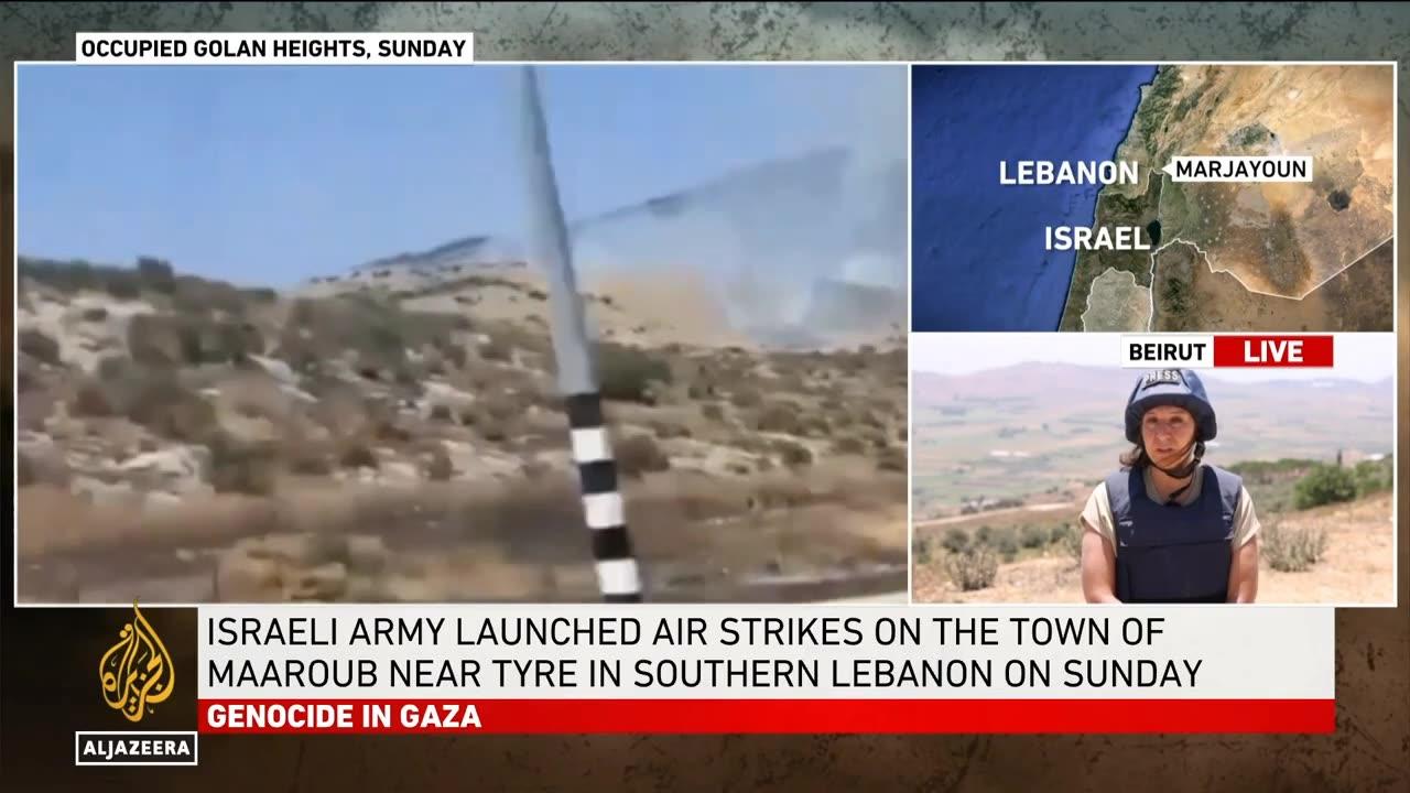 Israeli strike kills dozens of livestock in Lebanon’s Jabal Toura