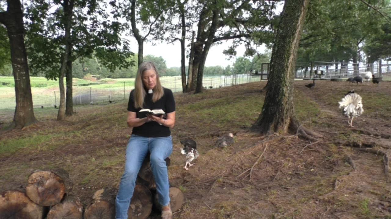 Daily office morning prayer one news page video