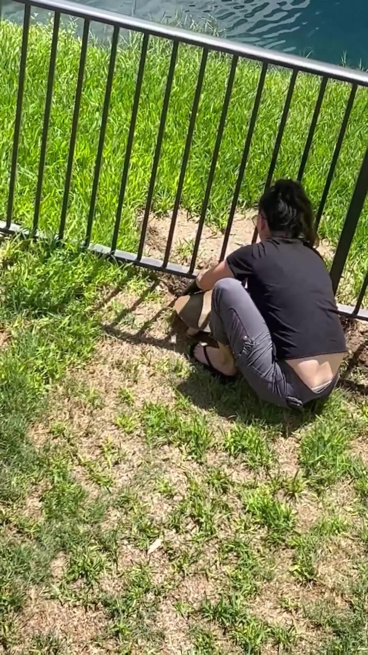 Woman Helps Turtle Stuck on Wrong Side of Fence