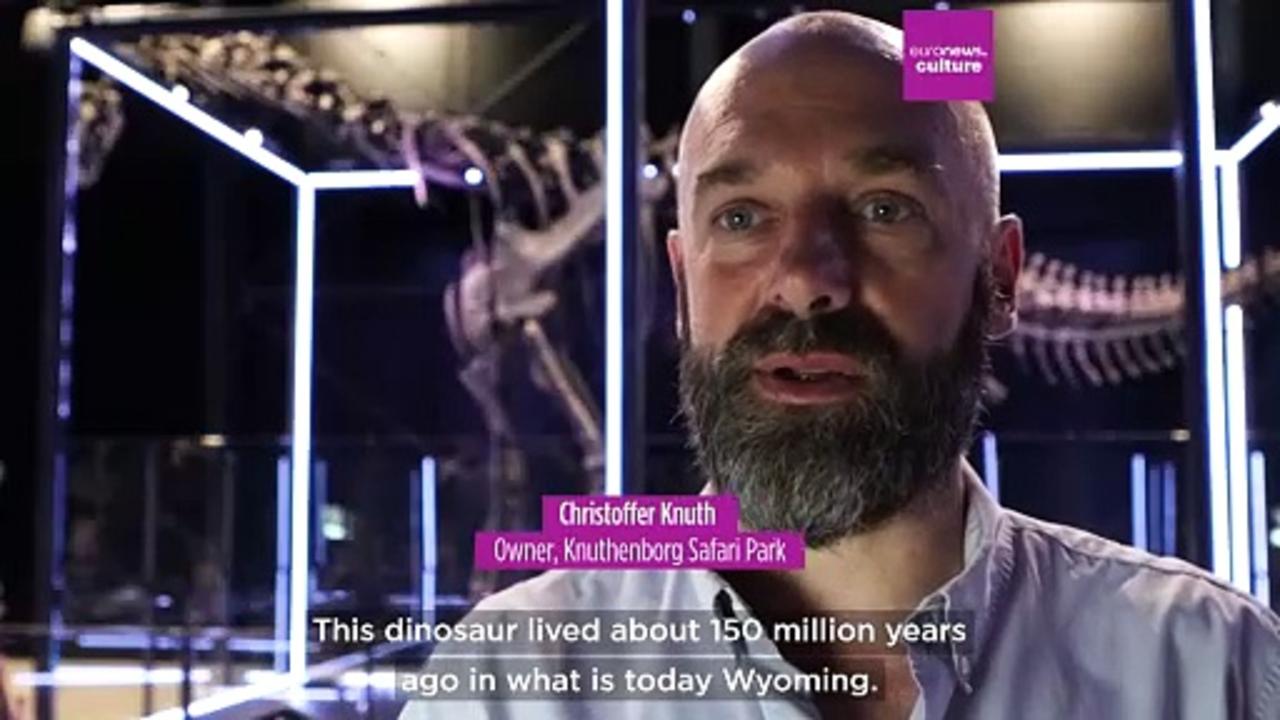 Museum of Evolution unveils 97% complete dinosaur skeleton