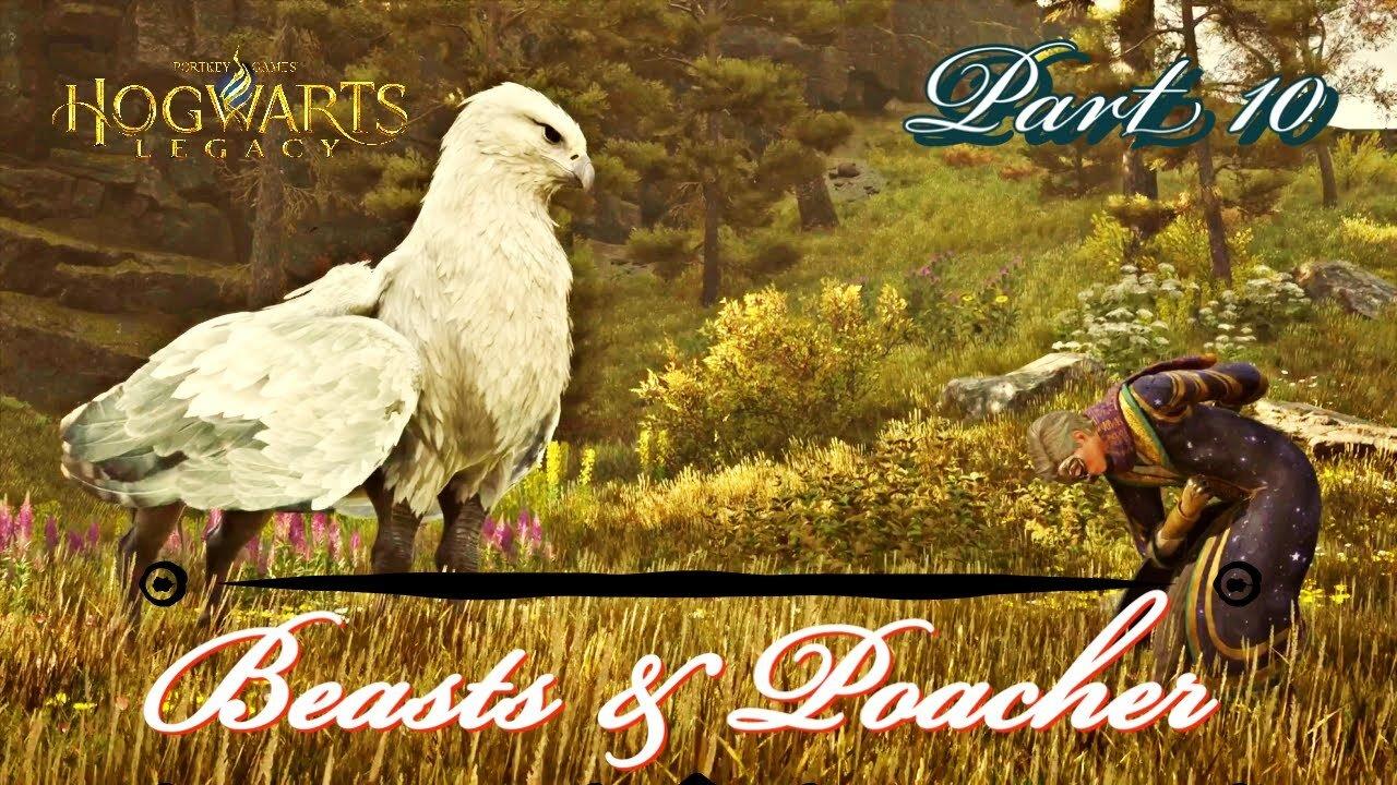 Hogwarts Legacy Walkthrough gameplay Part 10 beasts & Poacher