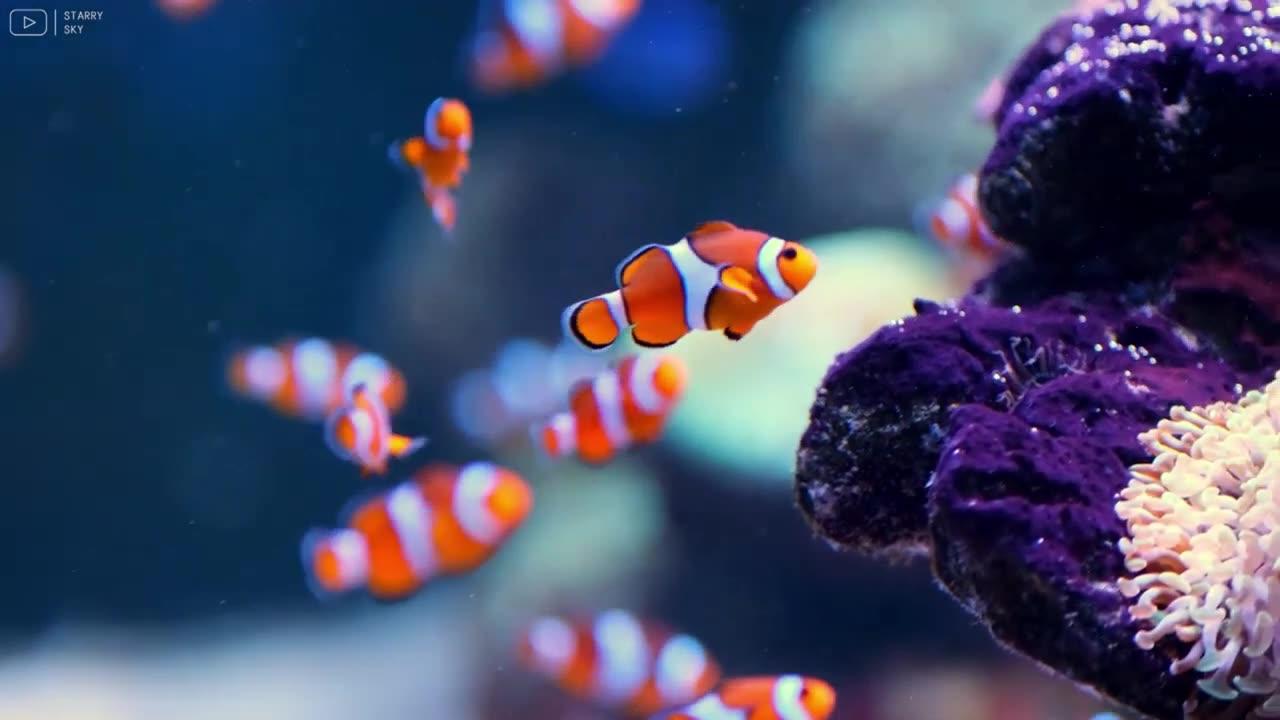 Relaxing music to relieve stress, anxiety and depression 🐠 Healing the mind, body and soul