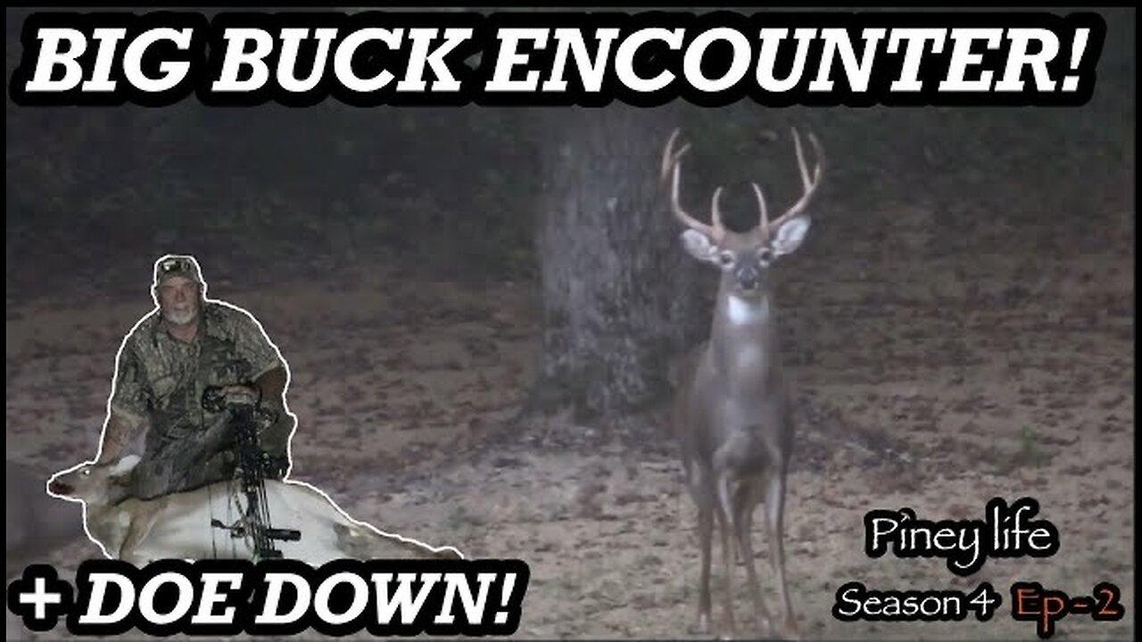 BIG BUCK ENCOUNTER. Black Jack. Piney life season 4 episode 2