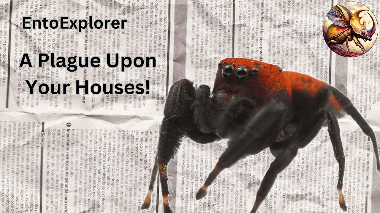 Bug News - Plague Strikes in Colorado