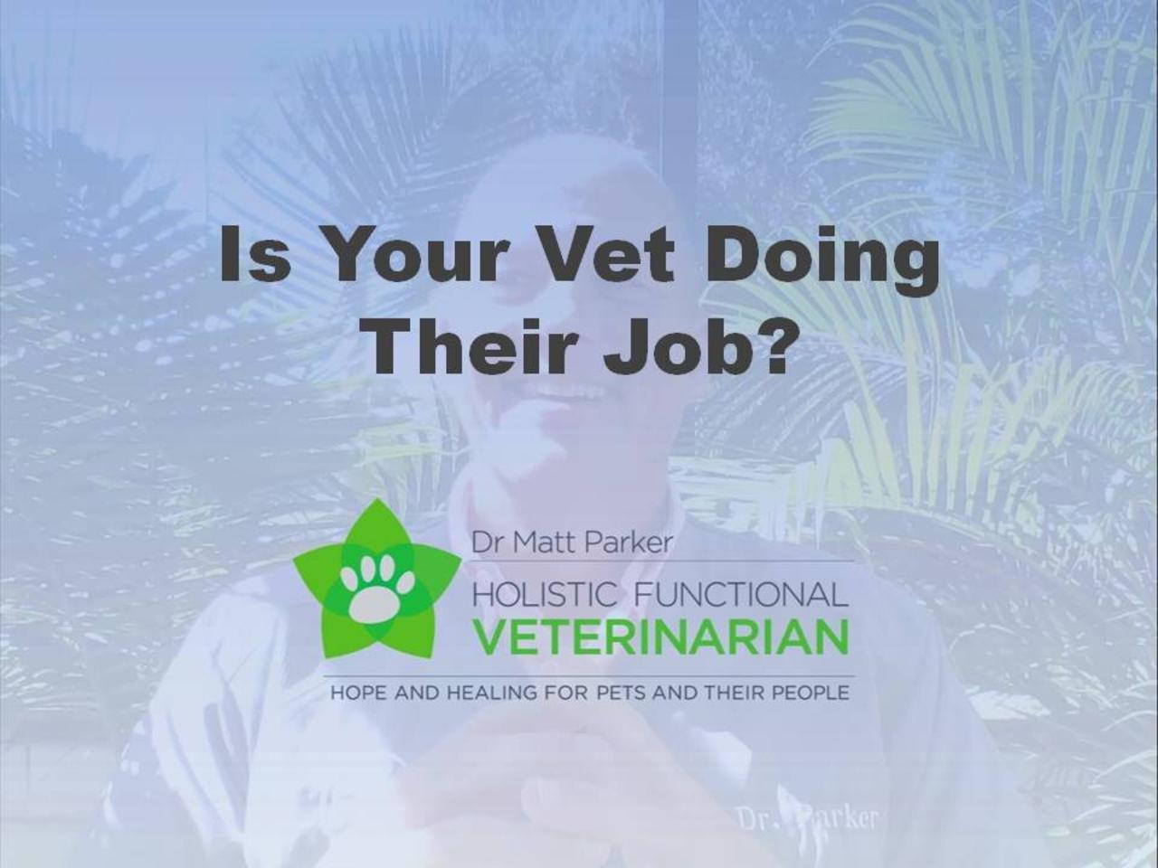 Is Your Vet Doing Their Job?