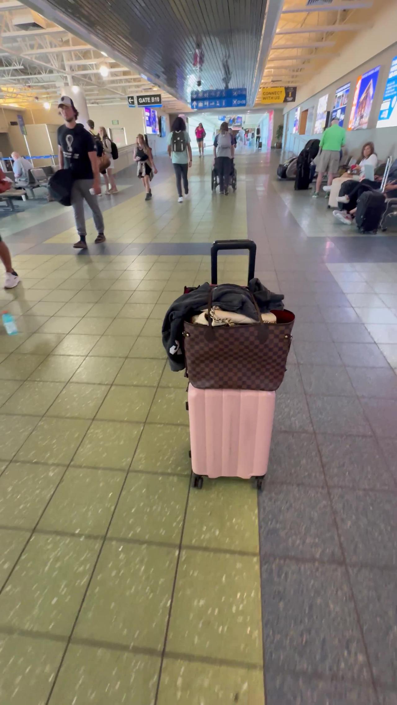Frenchie Takes Off With Luggage
