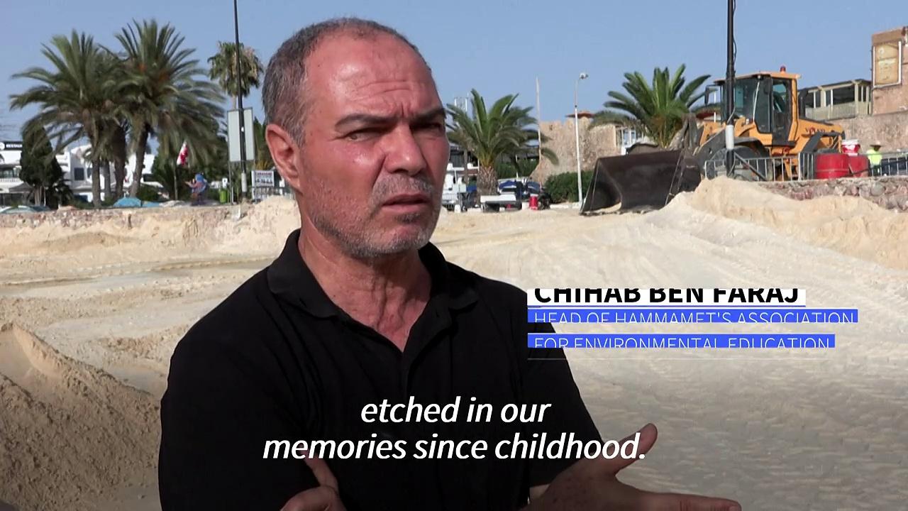 Protecting Tunisia's popular beaches from erosion in Hammamet