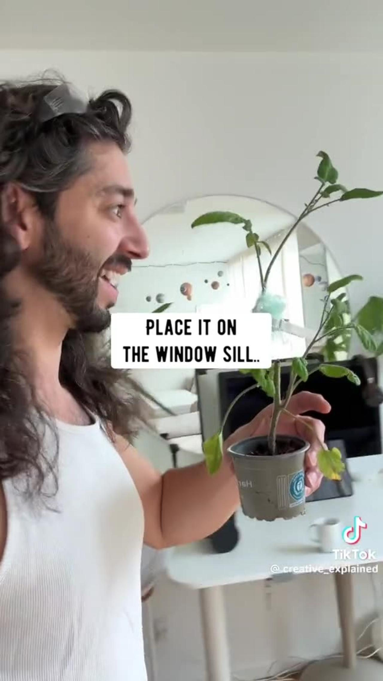 Creative Explained ~How To Clone Plants With - One News Page VIDEO