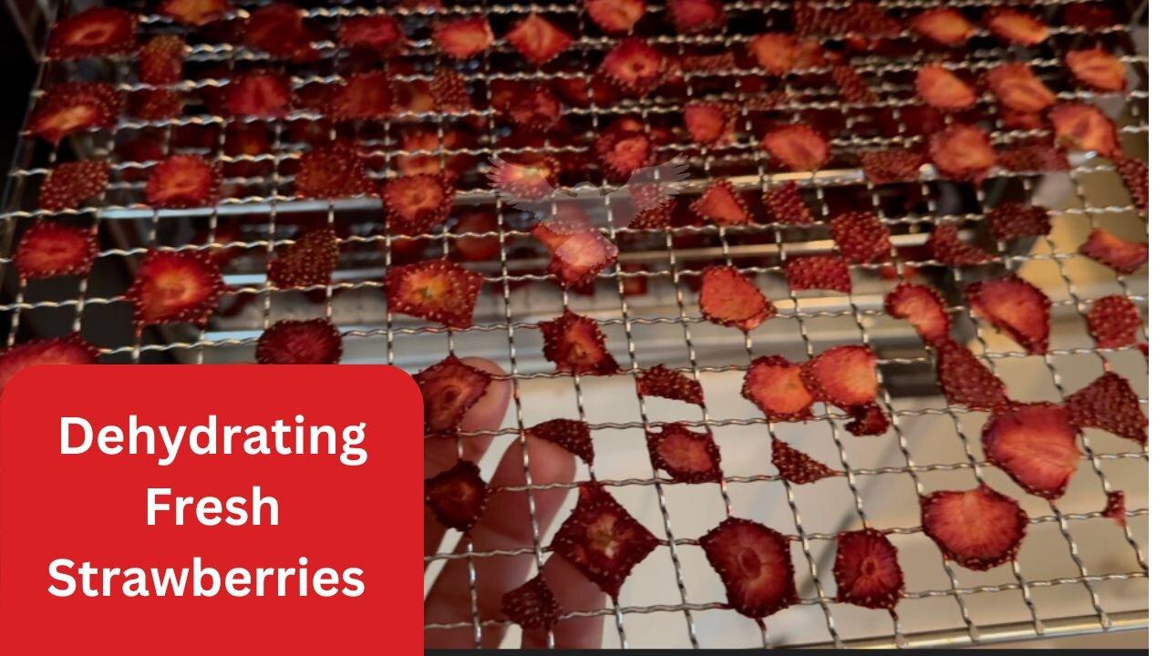 How to Dehydrating Fresh Strawberries