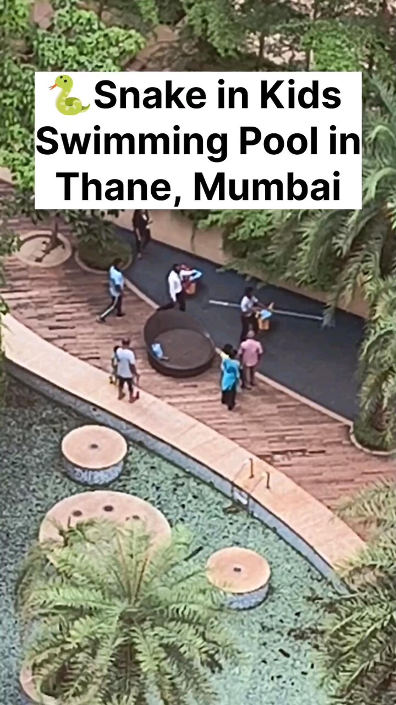 Snake 🐍 in Kids Swimming Pool in Thane, Mumbai