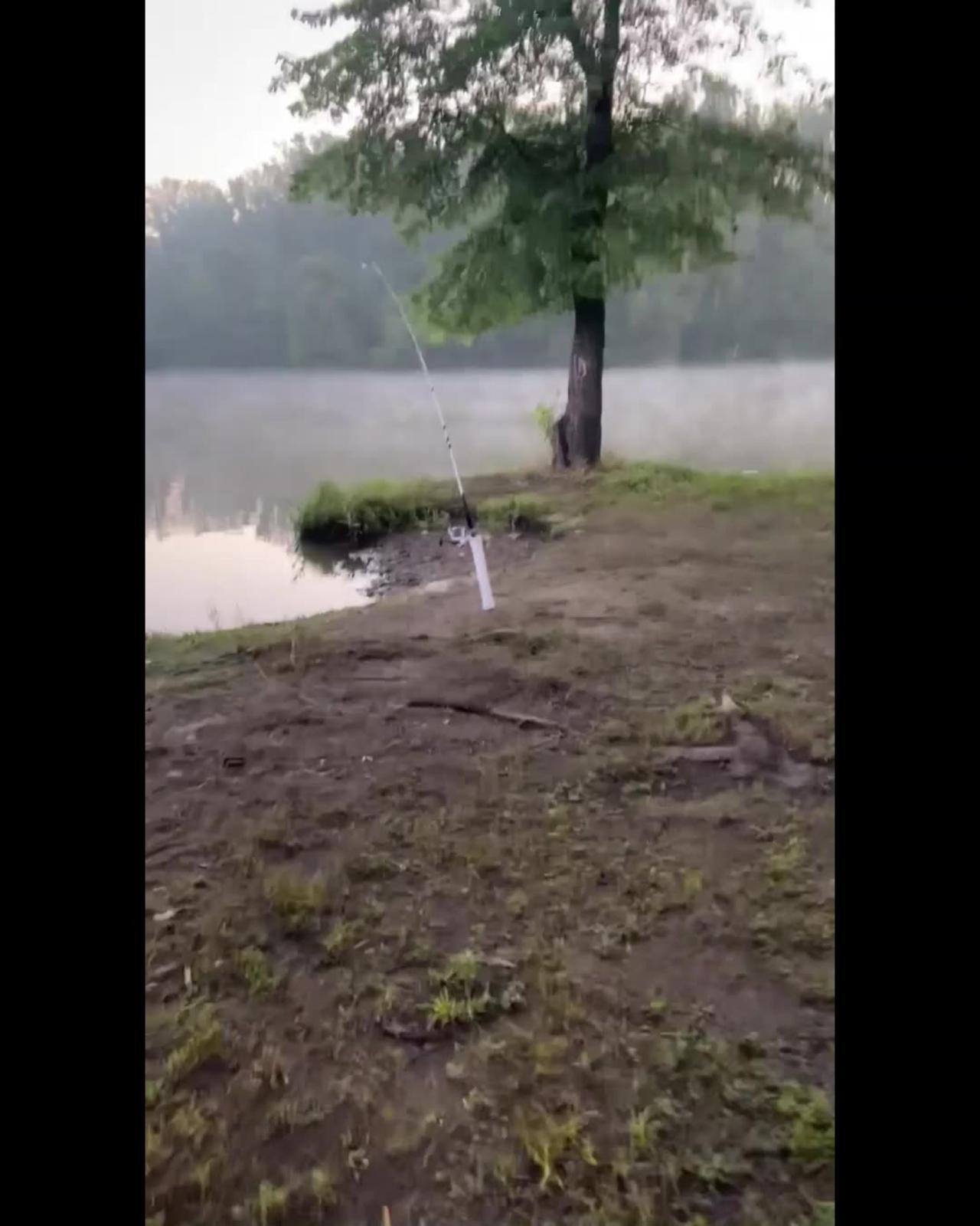 Kite Flying and Fishing