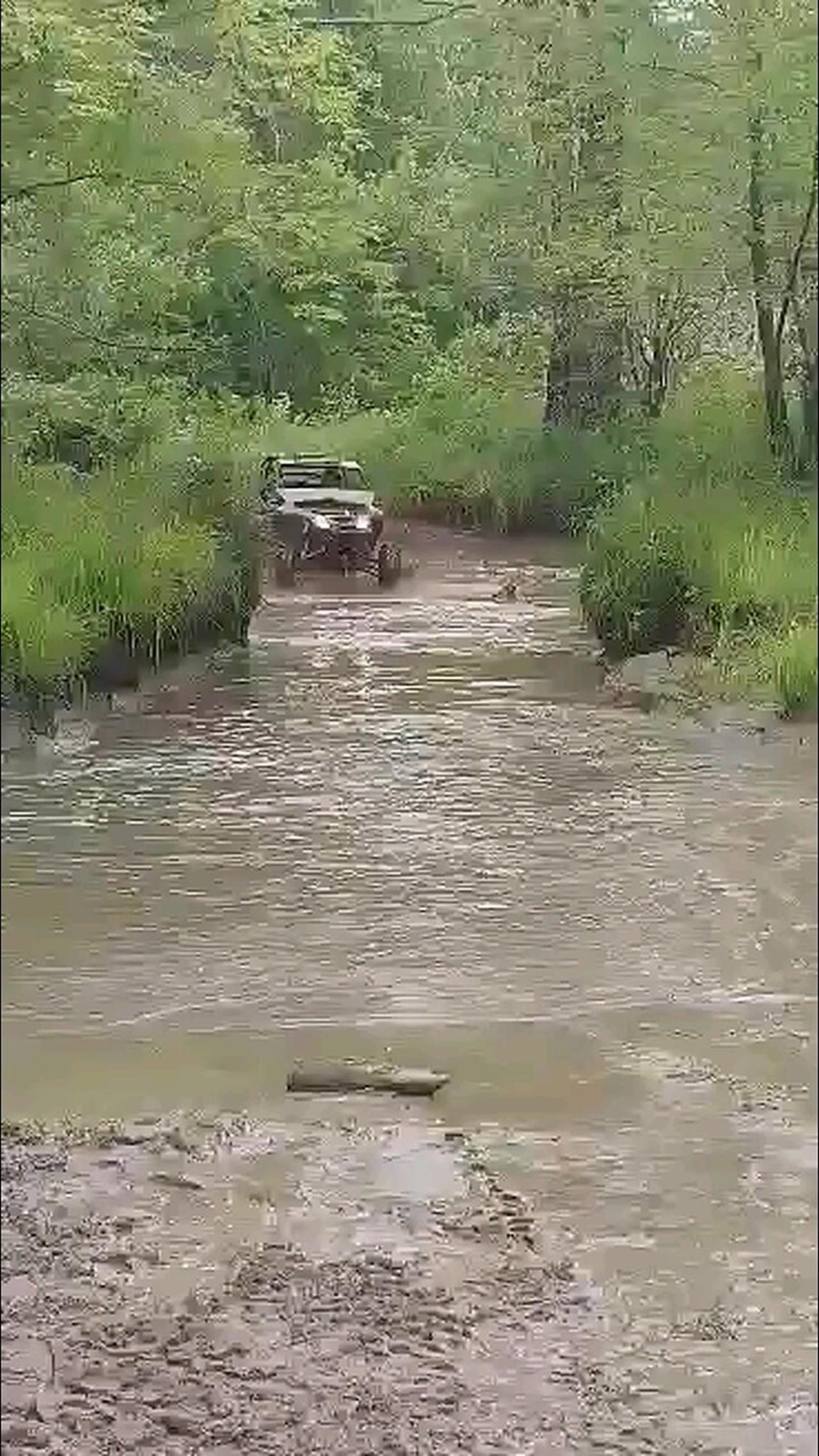 mud hole