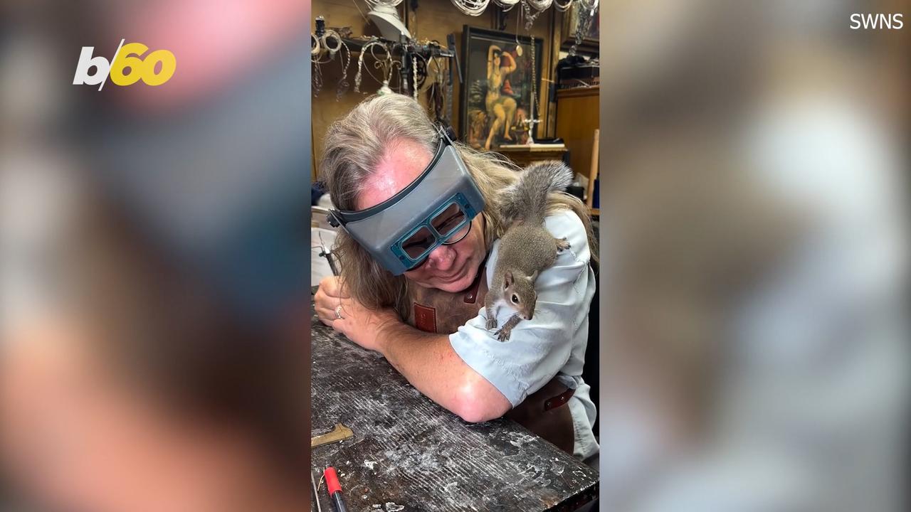 Man Partners Up With Squirrel to Make Custom Jewelry