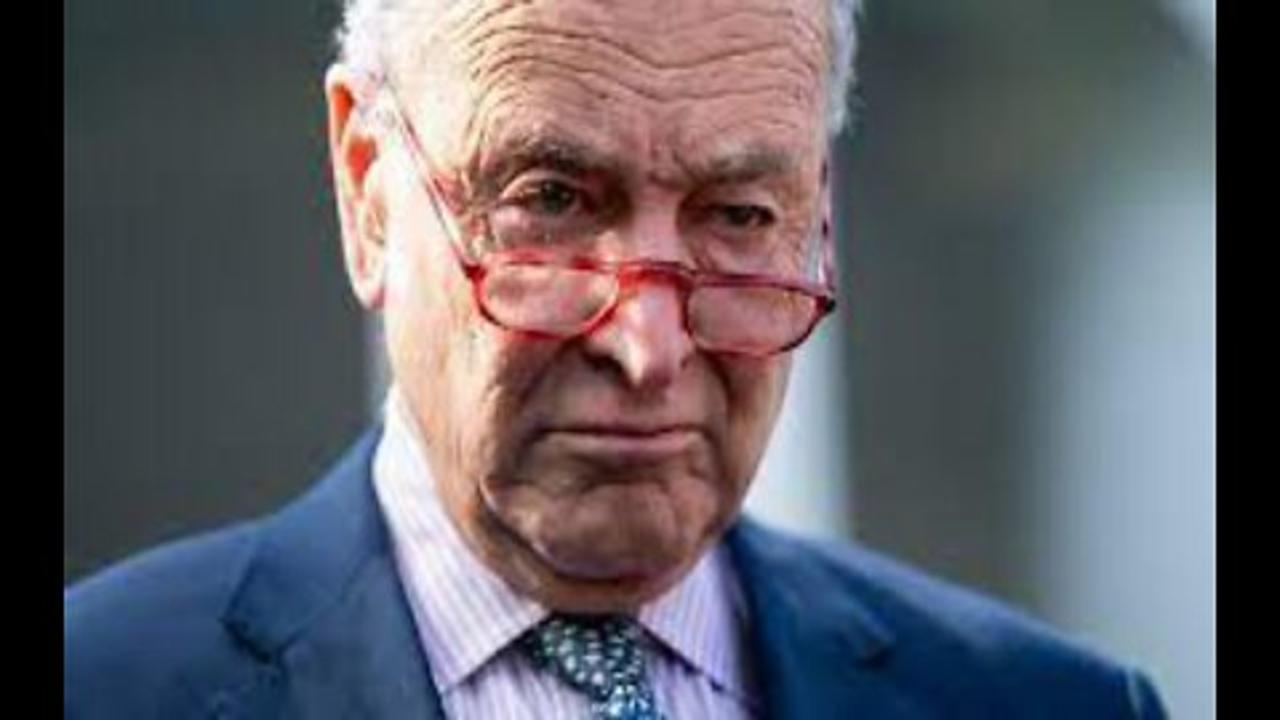 Report Schumer Talking With Donors About Dumping Biden