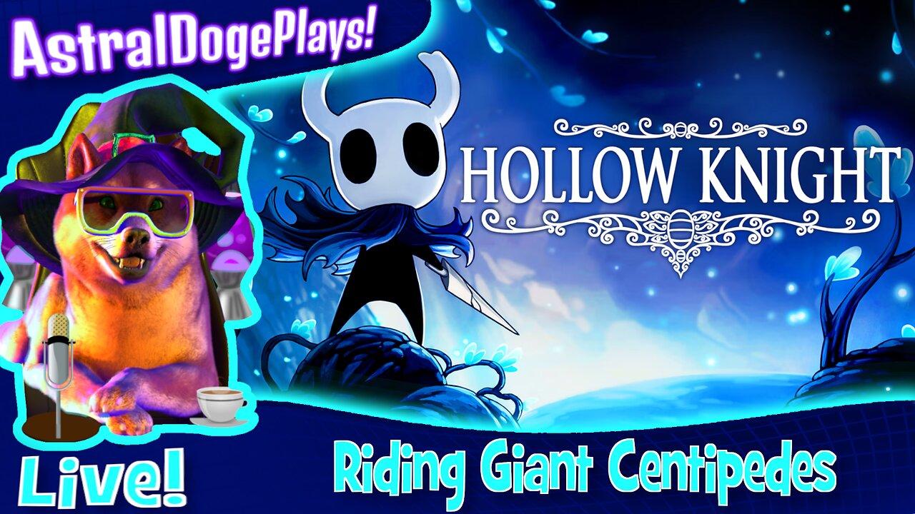 Hollow Knight ~ LIVE! - Riding Giant Centipedes