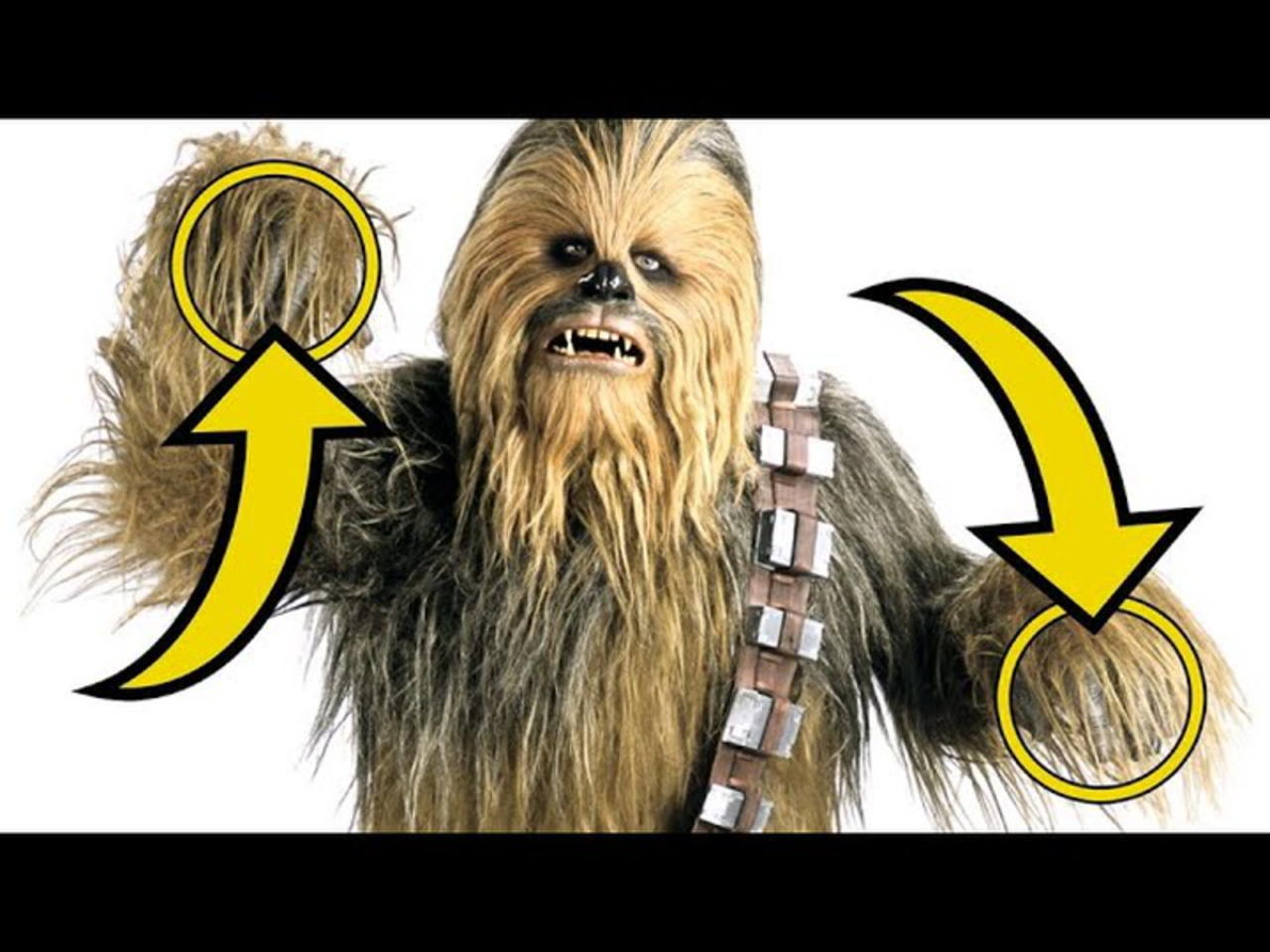 Star Wars 10 Things You Didn't Know About Chewbacca