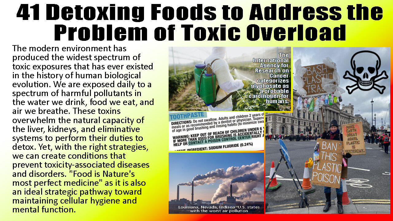 The Problem of Toxic Overload and 41 Detoxing Foods