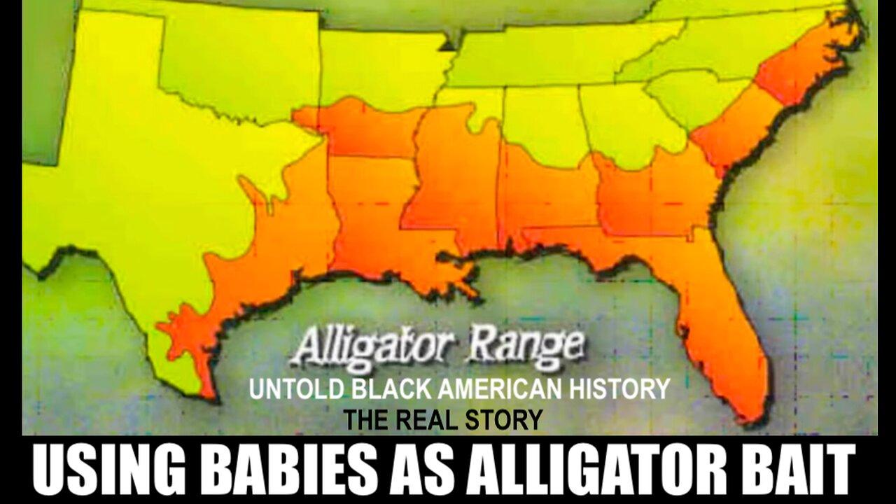 THE UNTOLD TRUTH ABOUT SOUTHERNERS USING BLACK BABIES FOR ALLIGATOR BAIT IN THE EARLY 1900s