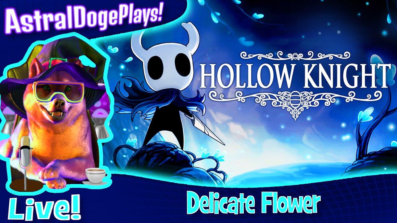Hollow Knight ~ LIVE! - Delicate Flower