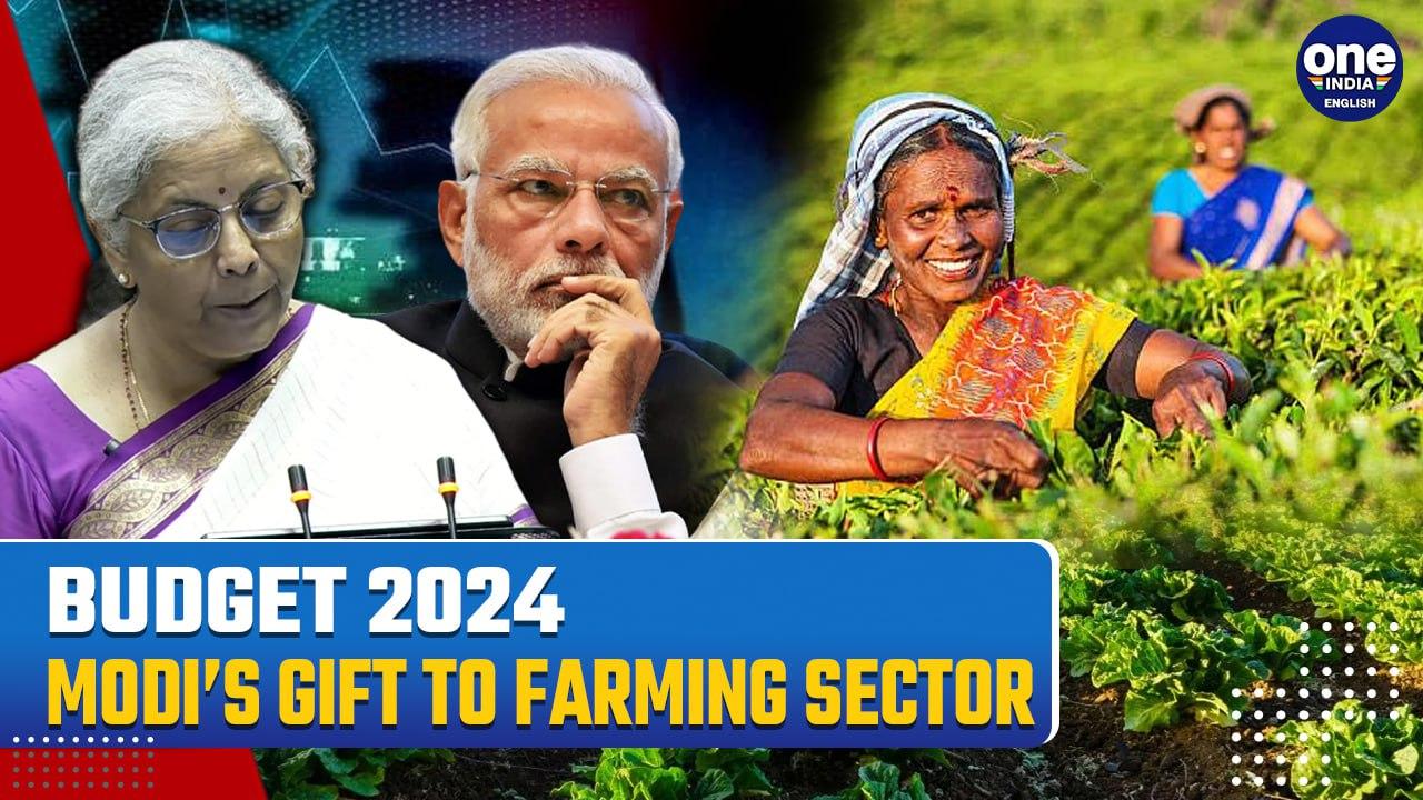 Budget 2024: Over 1 Crore Farmers Transition to Natural Farming, Announces FM Sitharaman| Watch