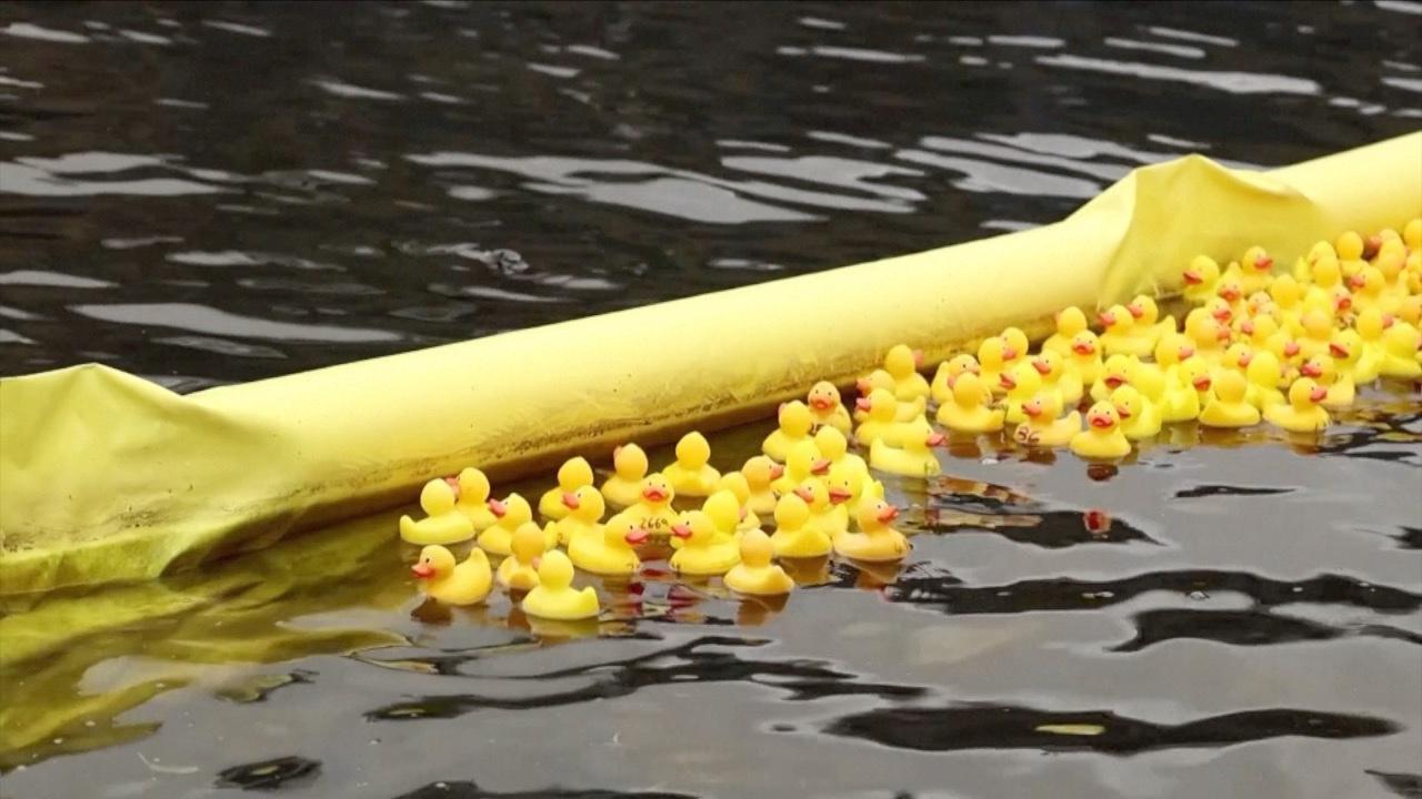 This London Rubber Duck Race Supports Children in Intensive Care