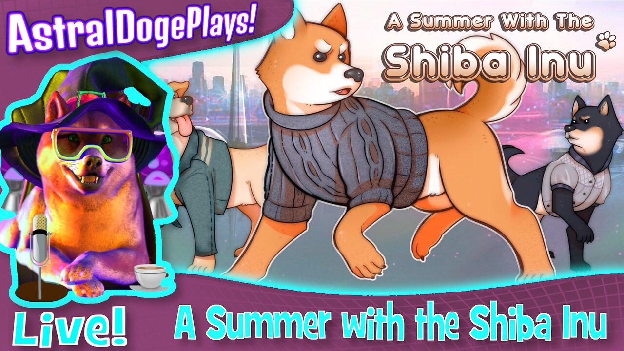 A summer with the Shiba Inu ~LIVE!~ The Start of Summer