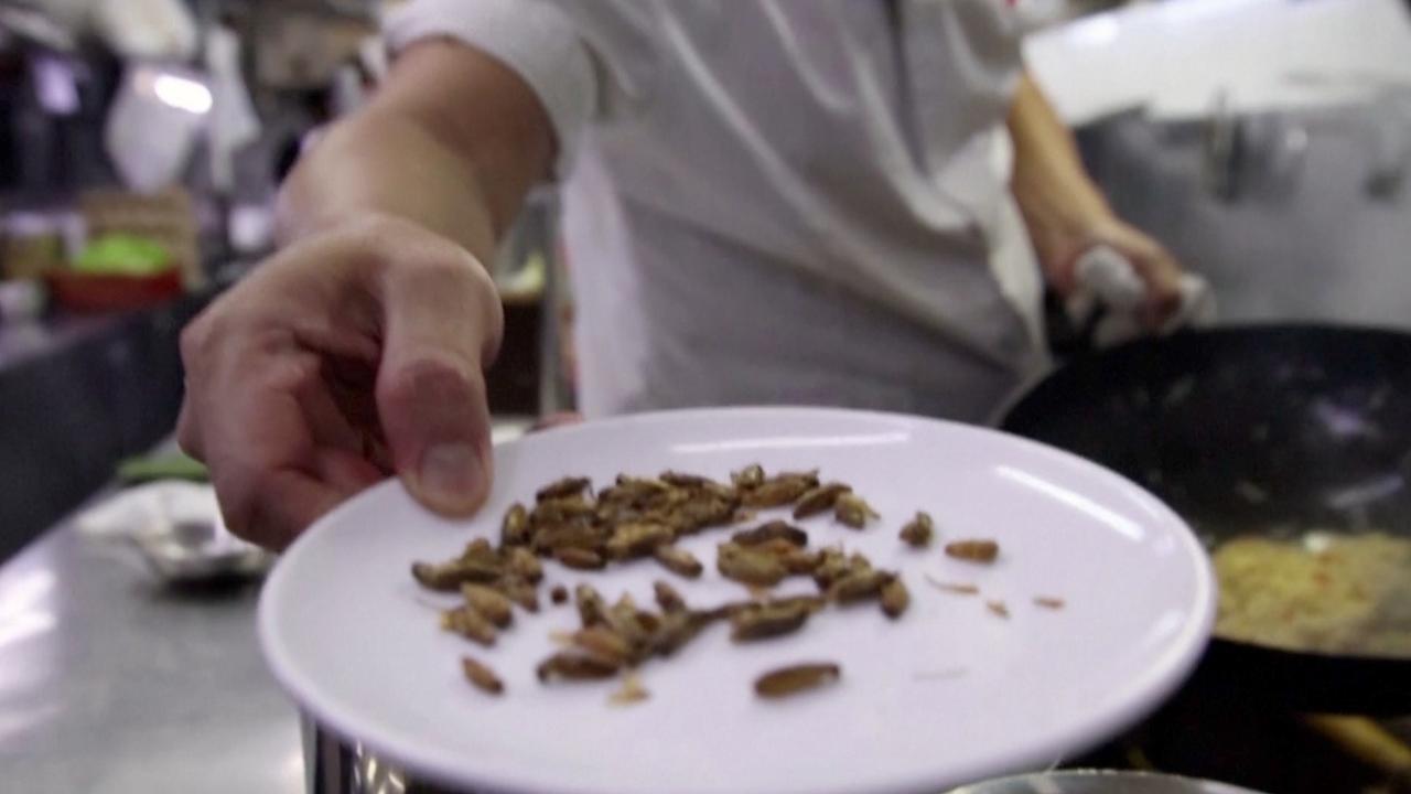 Singapore Restaurant Introduces Insects to the Menu Following Government Approval