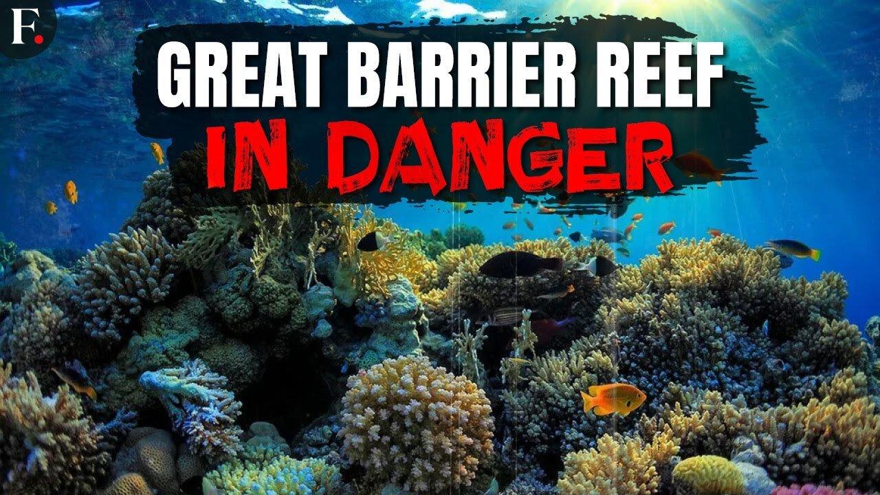 Great Barrier Reef Sees Warmest Water in 400 Years, Scientists Say | FPNews | VYPER