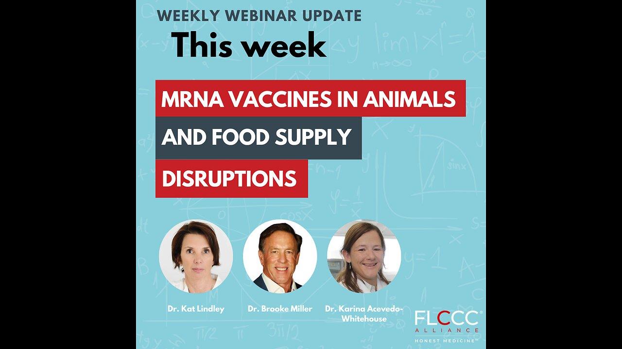 mRNA Vaccines in Animals and Food Supply Distributions: FLCCC WEEKLY UPDATE (AUGUST 14TH, 2024)