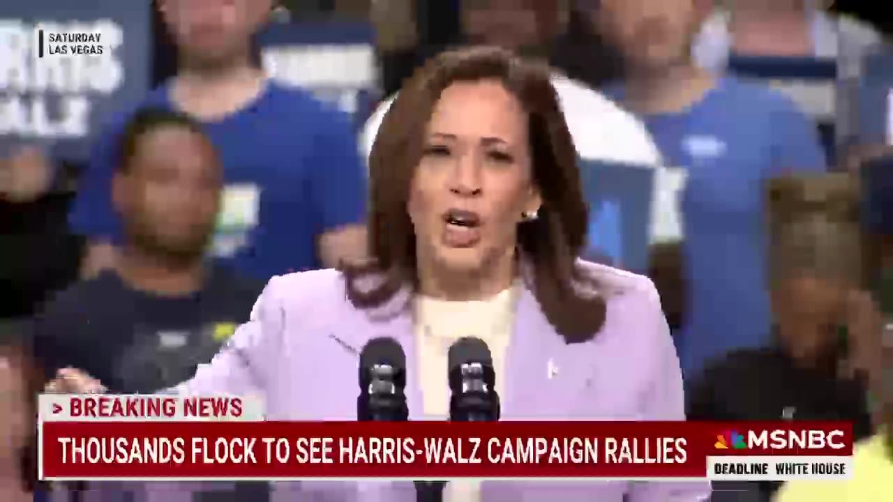 ‘Never Trumpers’ line up to support Vice President Kamala Harris in 2024 election