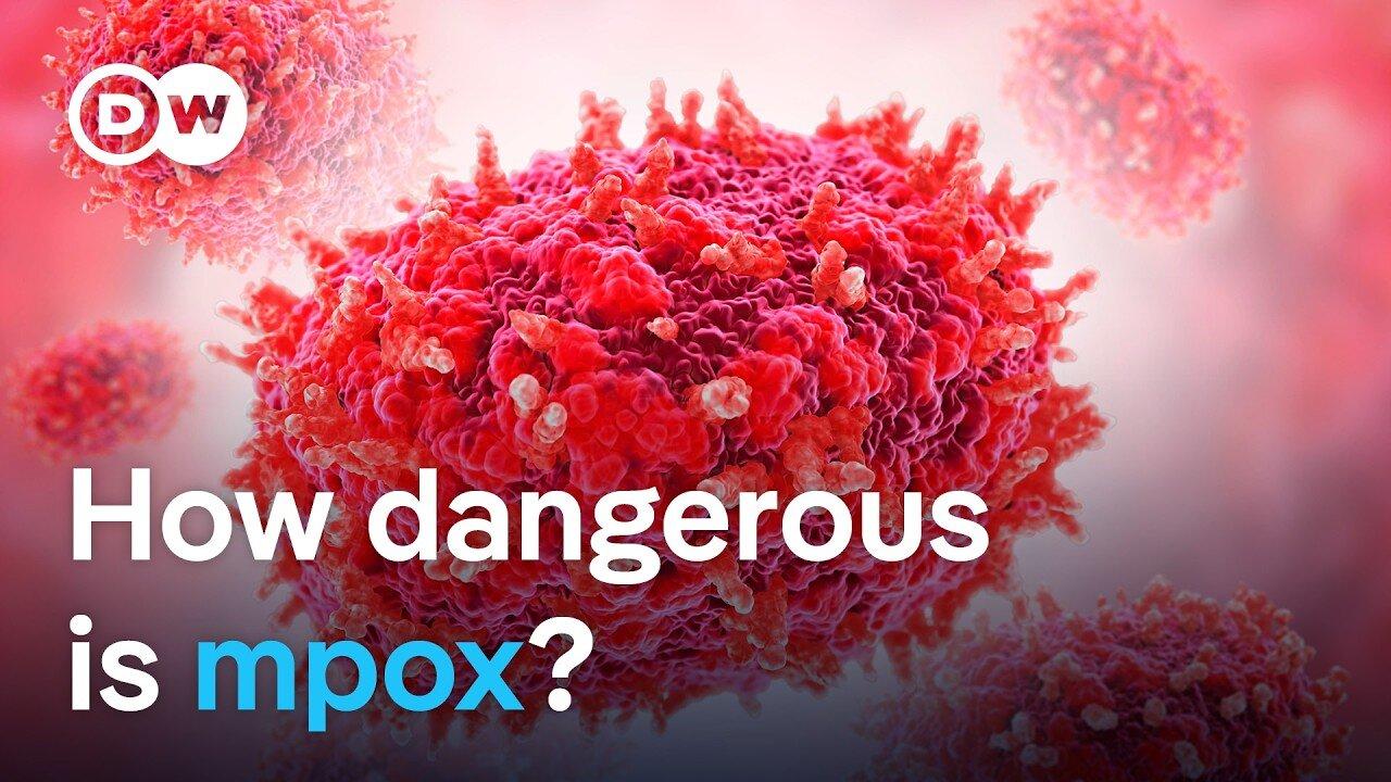 New mpox virus: Why is it spreading so quickly? | DW News