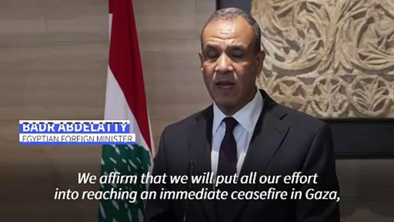 Egyptian FM calls for 'immediate' Gaza ceasefire to avoid regional escalation