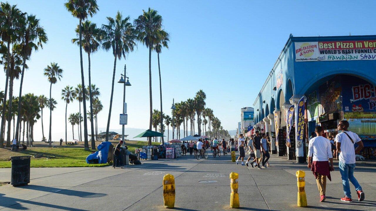 Venice Beach Live Camera