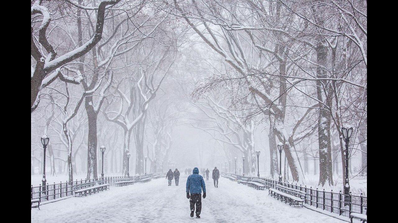 Snowfall in Central Park, New York