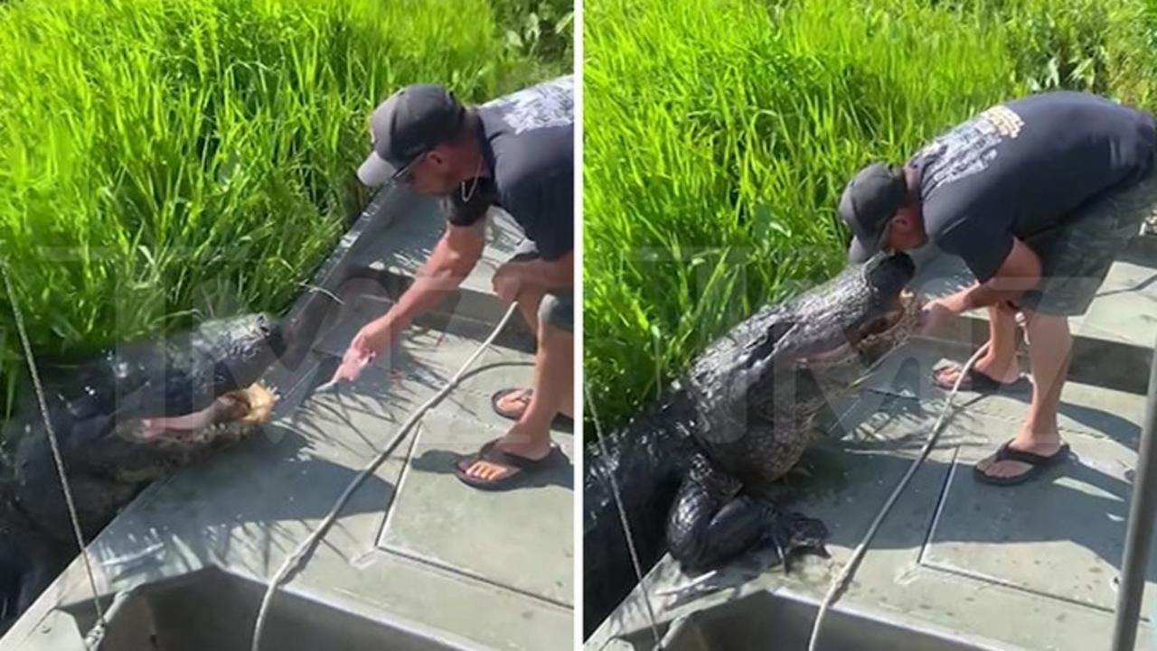 Lana Del Rey's Rumored Alligator Tour Guide BF Kisses Massive Gator in Wild Video