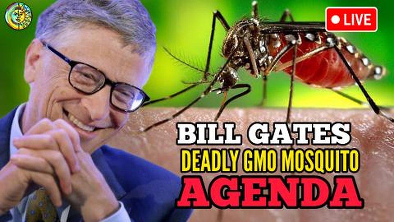 MOSQUITO WEST NILE VIRUS AGENDA: BILL GATES GMO MOSQUITO AGENDA