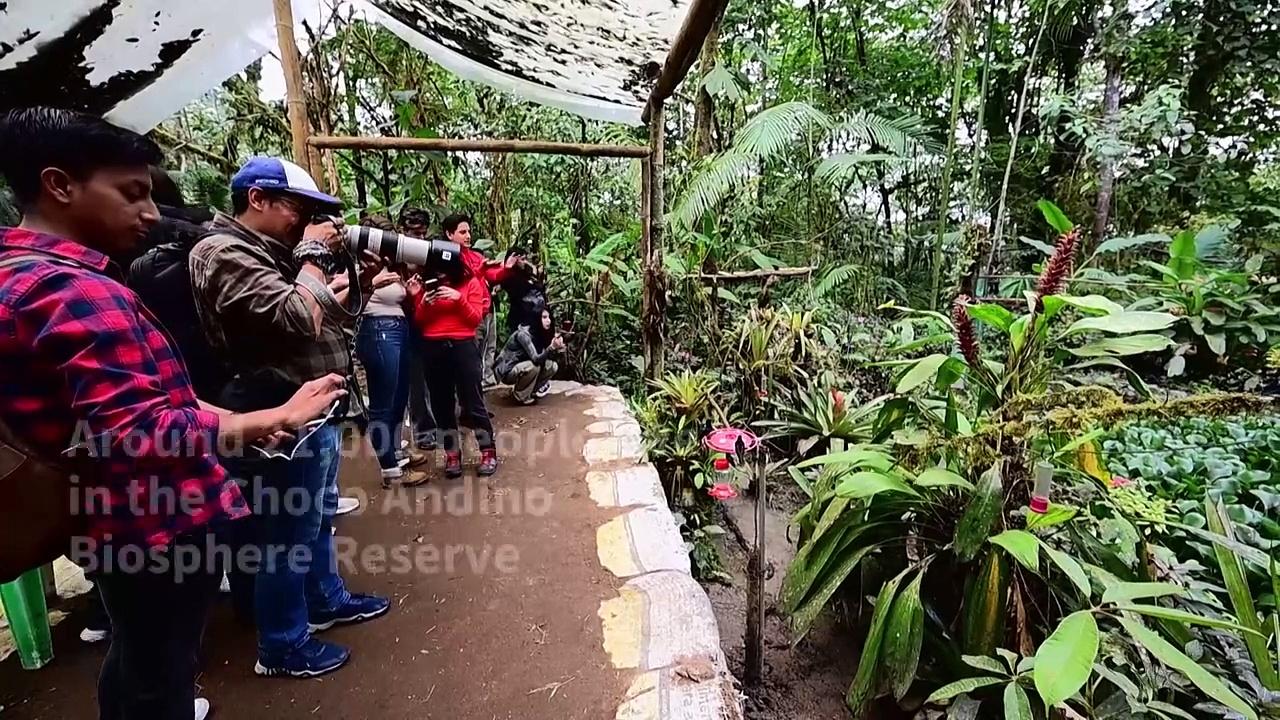 Mining continues in protected Ecuador oasis despite ban