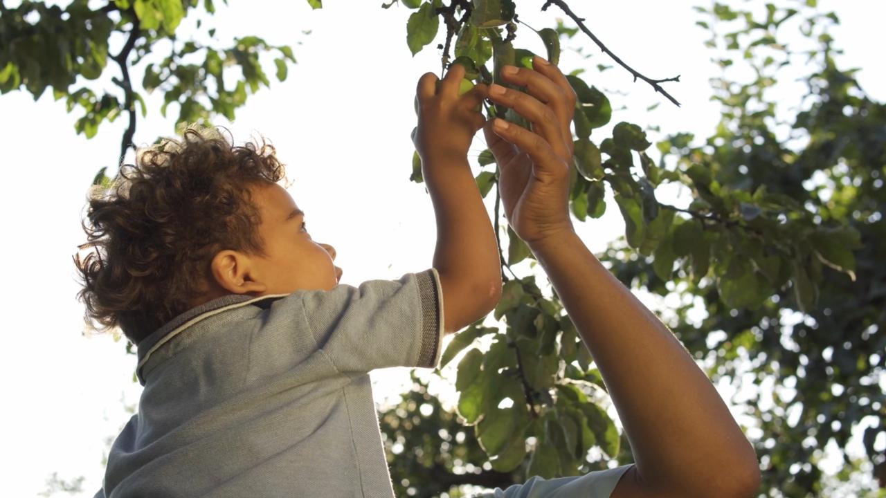 Creative Ways to Enjoy Your Apple Orchard Haul!