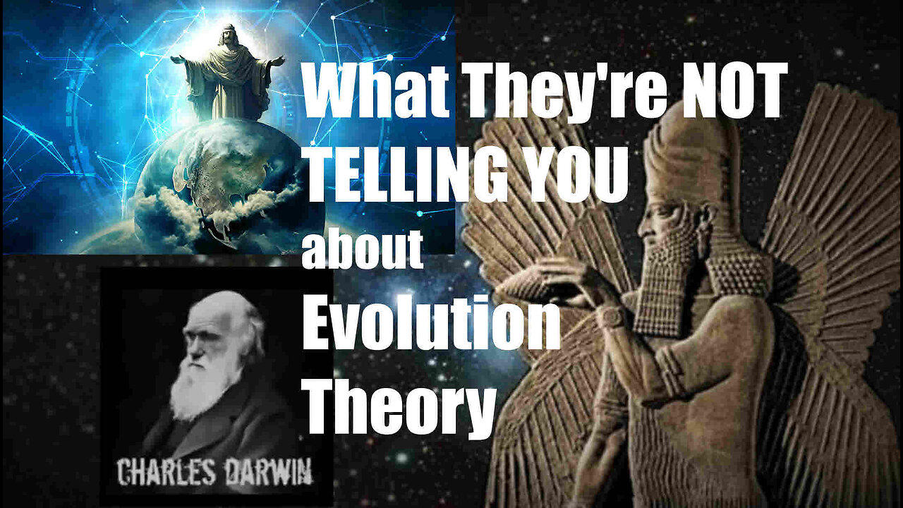 What They're NOT TELLING YOU about Evolution Theory