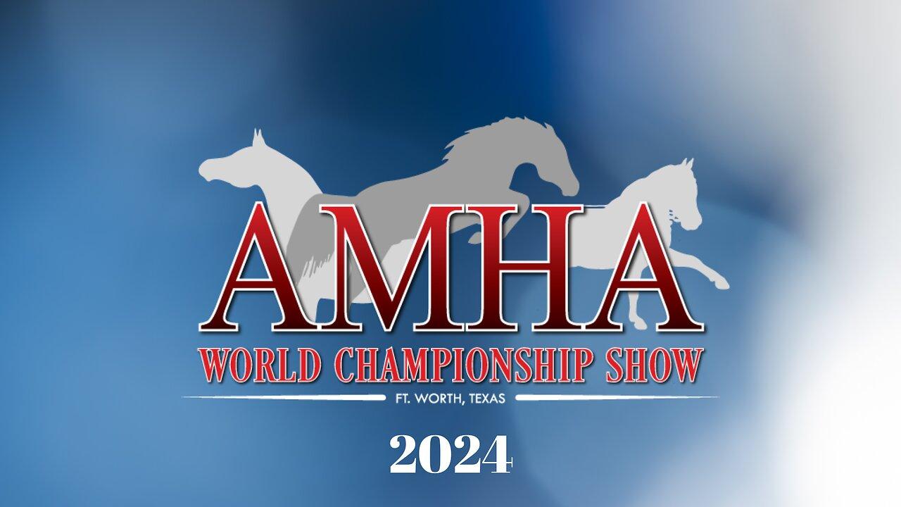 AMHA World Champion Show 2024 (day Two) 9/21/2024