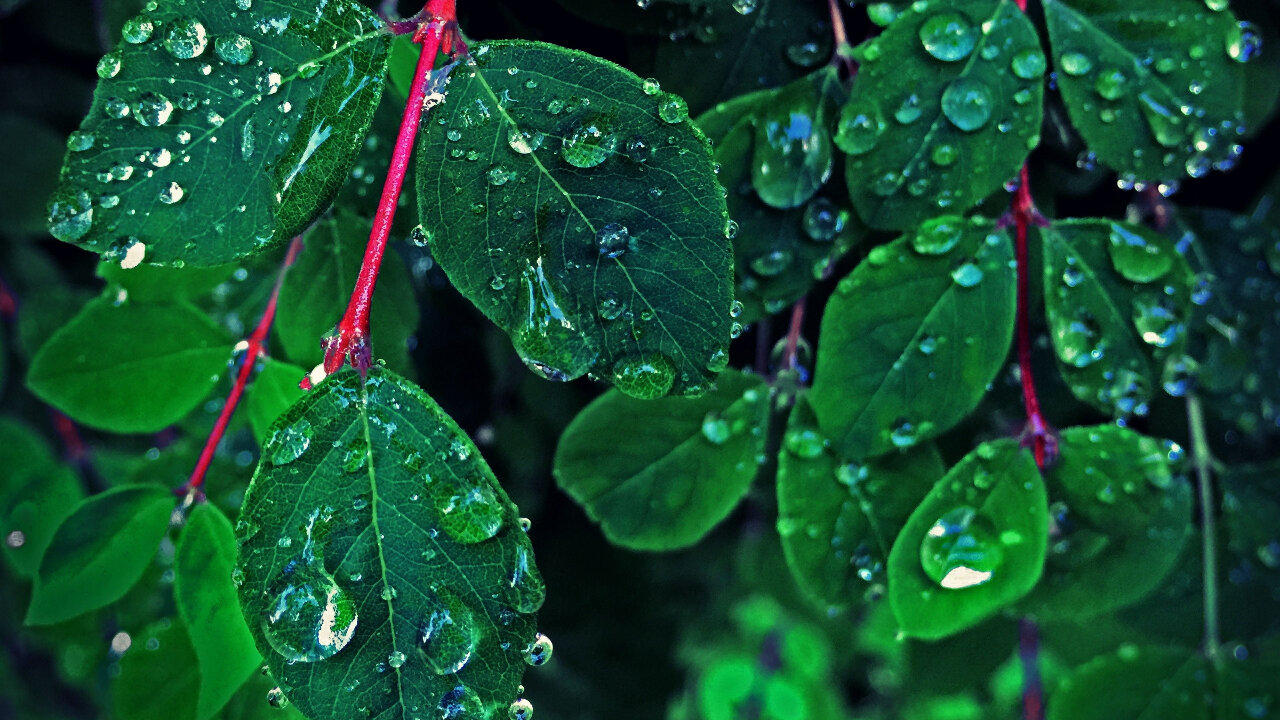 Rain and Thunder Rainstorm and Thunderstorm Sounds for Sleeping#ASMR