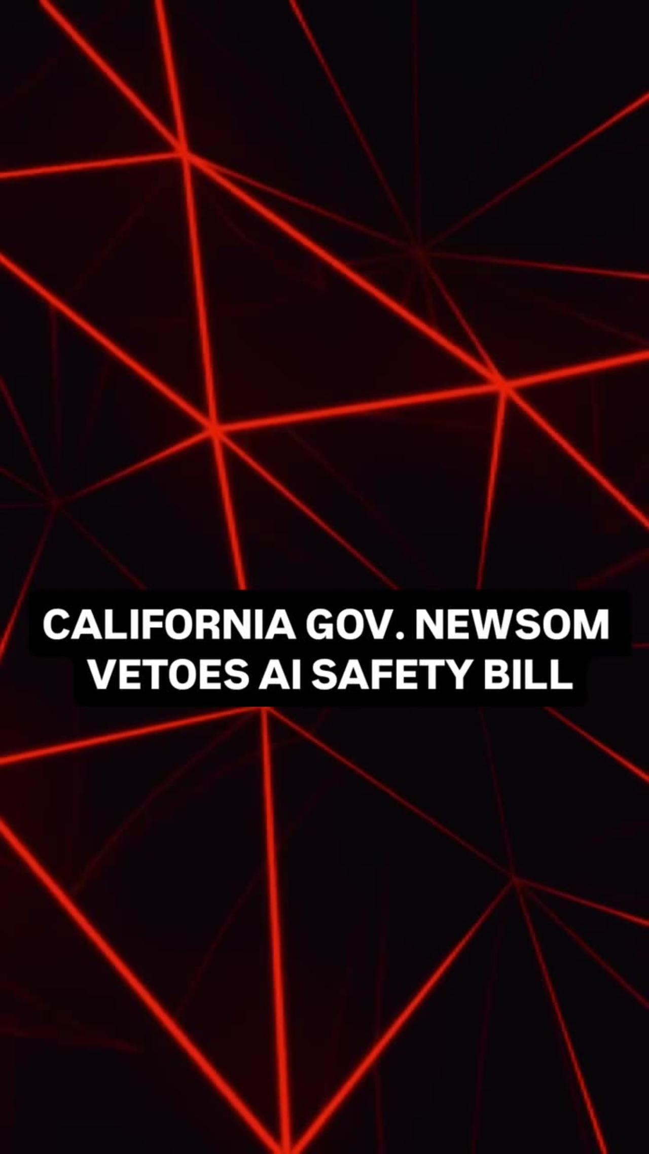 California Gov. Newsom Vetoes AI Safety Bill