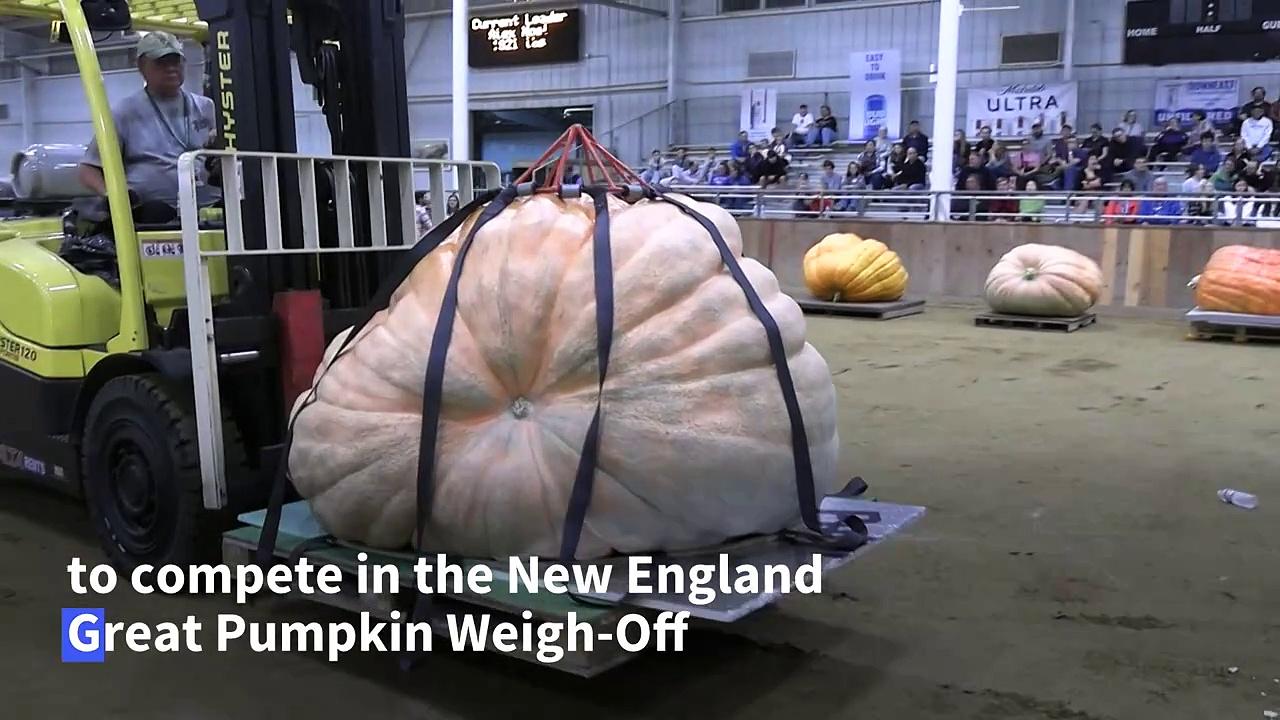 Giant pumpkin wins first prize at US fair