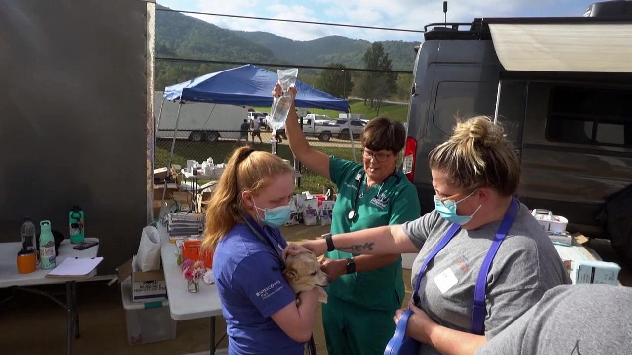 Mobile vet clinic helps pets in flood-hit North Carolina town